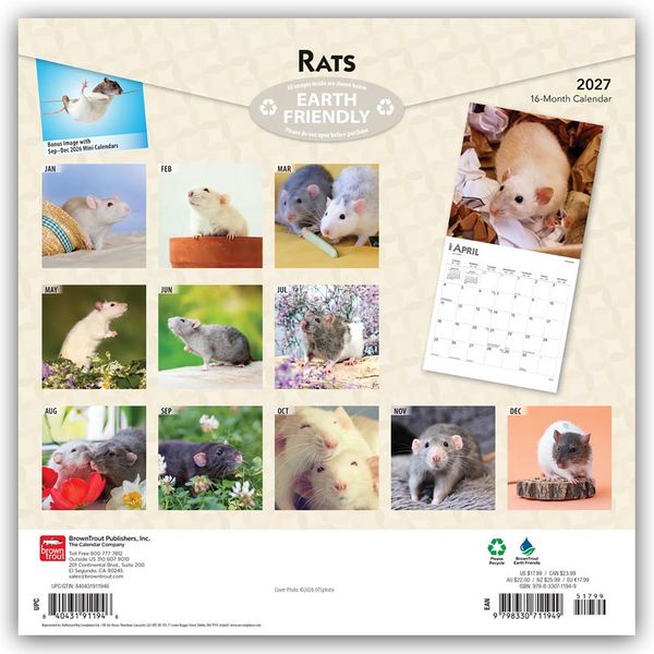 Produktbild: Rats &ndash; Ratten 2027 &ndash; 16-Monatskalender