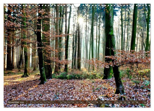 Produktbild: Wiesen W&auml;lder Weiher. Der Naturpark Augsburg-Westliche W&auml;lder (Wandkalender 2026 DIN A3 quer), CALVENDO Monatskalender