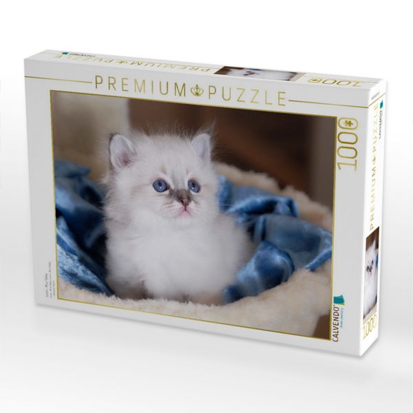 Produktbild: CALVENDO Puzzle Lenni - Blue Tabby | 1000 Teile Lege-Gr&ouml;&szlig;e 64x48cm Foto-Puzzle f&uuml;r gl&uuml;ckliche Stunden