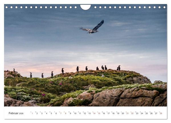 Produktbild: Nordland &ndash; Die Weite Skandinaviens (Wandkalender 2026 DIN A4 quer), CALVENDO Monatskalender