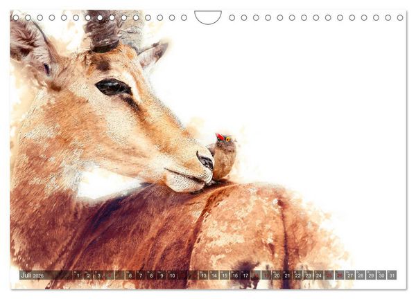 Produktbild: Tierportraits - Fine Art (Wandkalender 2026 DIN A4 quer), CALVENDO Monatskalender