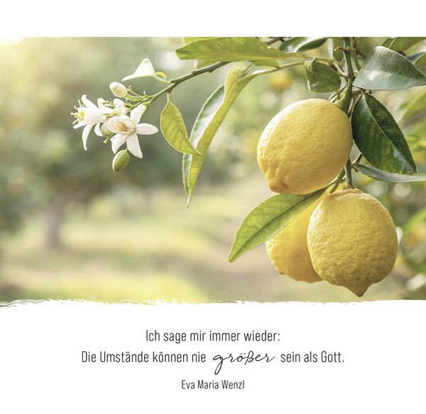 Produktbild: Momente der Hoffnung &ndash; Aufstellbuch