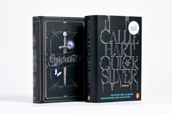 Produktbild: Quicksilver - Tochter des Silbers. Gefangener der Schatten