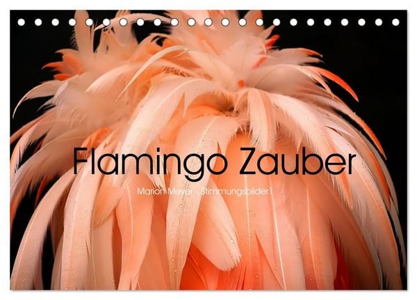 Produktbild: Flamingo Zauber (Tischkalender 2026 DIN A5 quer), CALVENDO Monatskalender