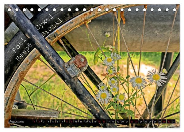 Produktbild: Weltfahrrad (Tischkalender 2026 DIN A5 quer), CALVENDO Monatskalender