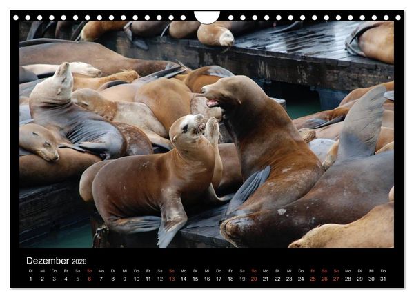 Produktbild: USA - Nordwesten (Wandkalender 2026 DIN A4 quer), CALVENDO Monatskalender