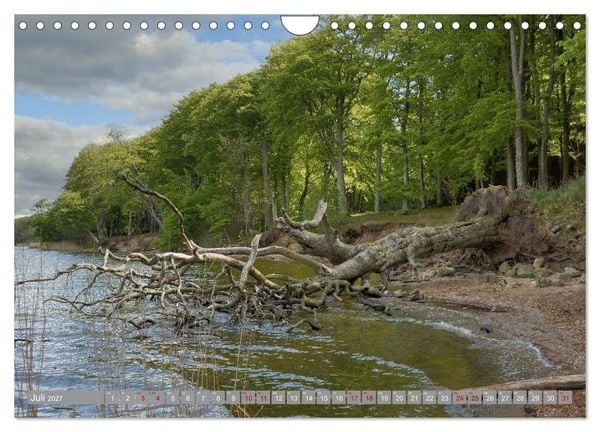 Produktbild: Am sch&ouml;nsten Uferabschnitt der Schlei (Wandkalender 2027 DIN A4 quer), CALVENDO Monatskalender