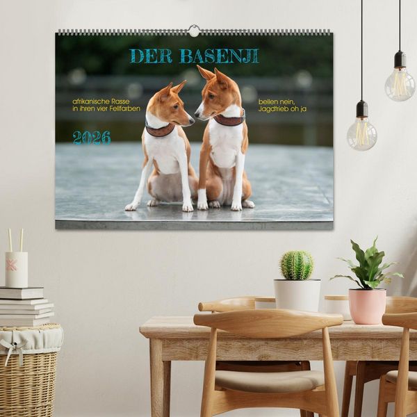 Produktbild: Der Basenji (Wandkalender 2026 DIN A2 quer), CALVENDO Monatskalender