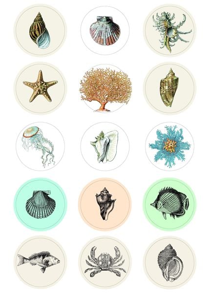 Produktbild: Natural History