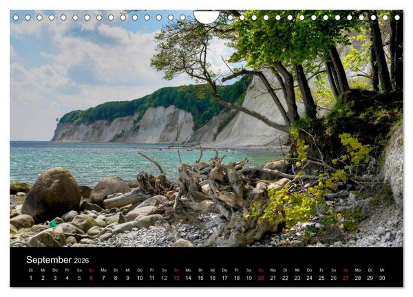 Produktbild: Baum-Variationen (Wandkalender 2026 DIN A4 quer), CALVENDO Monatskalender
