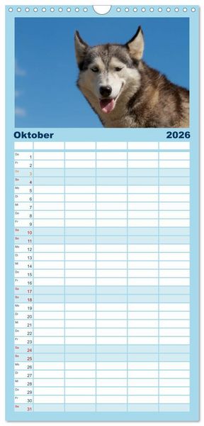 Produktbild: Familienplaner 2026 - Huskies! mit 5 Spalten (Wandkalender, 21 x 45 cm) CALVENDO