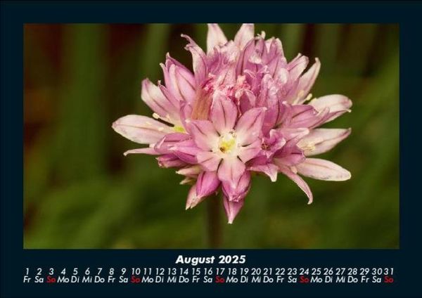 Produktbild: Blumenkalender 2025 Fotokalender DIN A5