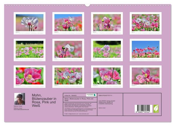 Produktbild: Mohn, Bl&uuml;tenzauber in Rosa, Pink und Wei&szlig; (Wandkalender 2026 DIN A2 quer), CALVENDO Monatskalender