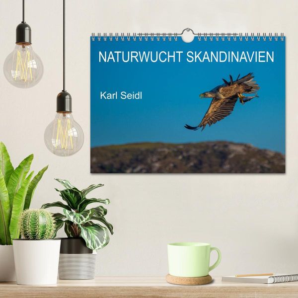 Produktbild: Naturwucht Skandinavien (Wandkalender 2026 DIN A4 quer), CALVENDO Monatskalender