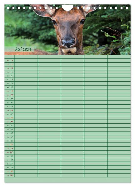 Produktbild: Tierischer Familienplaner (Wandkalender 2026 DIN A4 hoch), CALVENDO Monatskalender