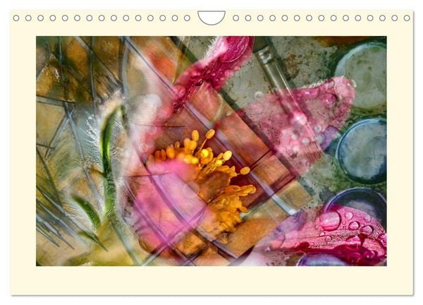 Produktbild: Fotografie trifft Malerei (Wandkalender 2026 DIN A4 quer), CALVENDO Monatskalender