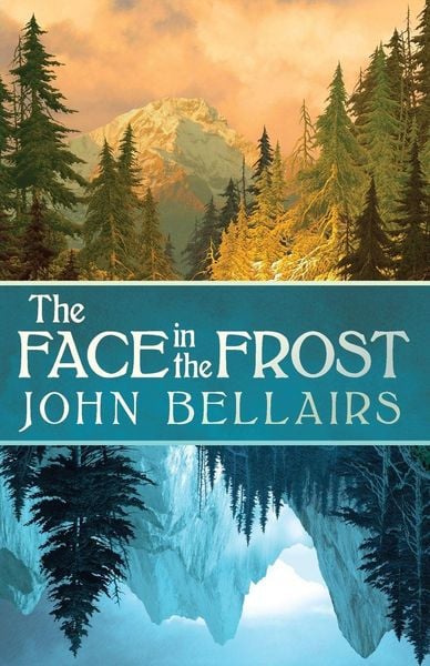 Produktbild: The Face in the Frost