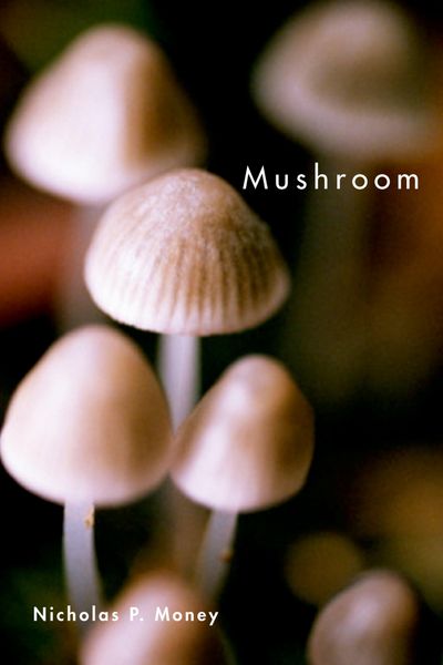 Produktbild: Mushroom