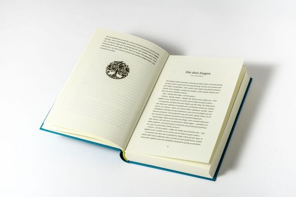 Produktbild: F&uuml;ttere den wei&szlig;en Wolf