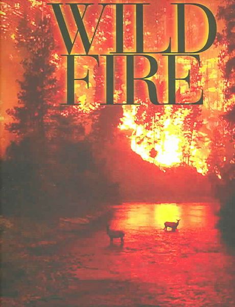 Produktbild: Wildfire