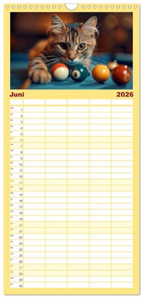 Produktbild: Familienplaner 2026 - Tierische Balljunkies mit 5 Spalten (Wandkalender, 21 x 45 cm) CALVENDO