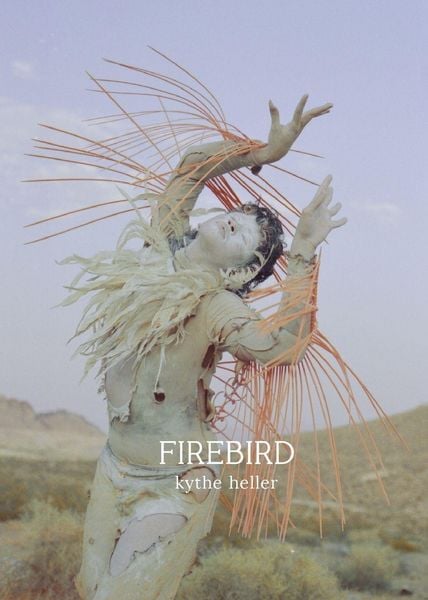 Produktbild: Firebird