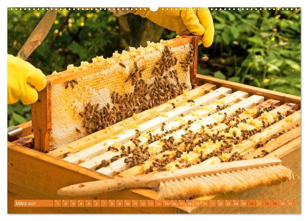 Produktbild: Ein Leben f&uuml;r den Honig: Bienen und Imker (hochwertiger Premium Wandkalender 2027 DIN A2 quer), Kunstdruck in Hochglanz
