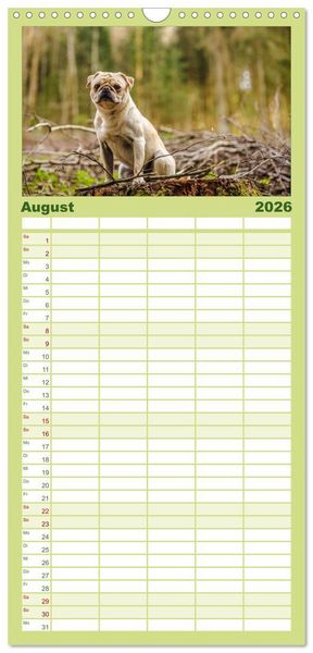 Produktbild: Familienplaner 2026 - M&ouml;pse mit 5 Spalten (Wandkalender, 21 x 45 cm) CALVENDO