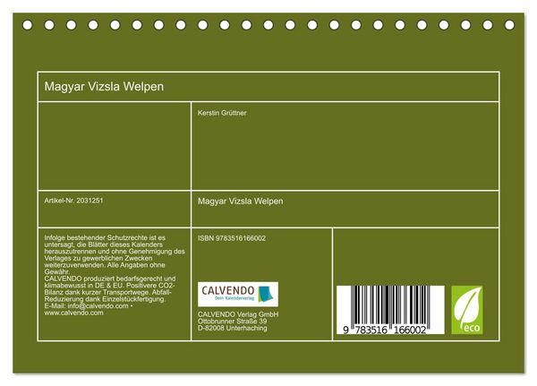 Produktbild: Magyar Vizsla Welpen (Tischkalender 2026 DIN A5 quer), CALVENDO Monatskalender