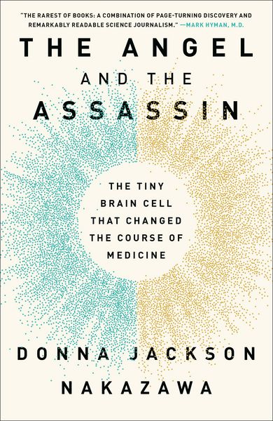 Produktbild: The Angel and the Assassin