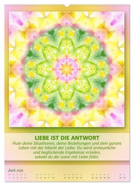 Produktbild: Light Energy Mandalas - Kalender - Vol. 2 (Wandkalender 2026 DIN A2 hoch), CALVENDO Monatskalender