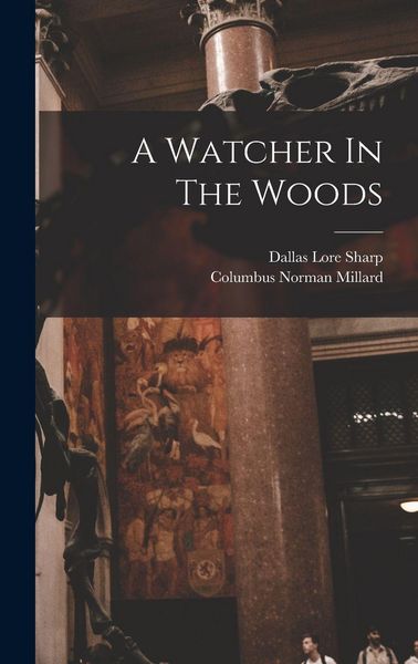 Produktbild: A Watcher In The Woods