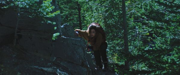 Produktbild: Dark Nature