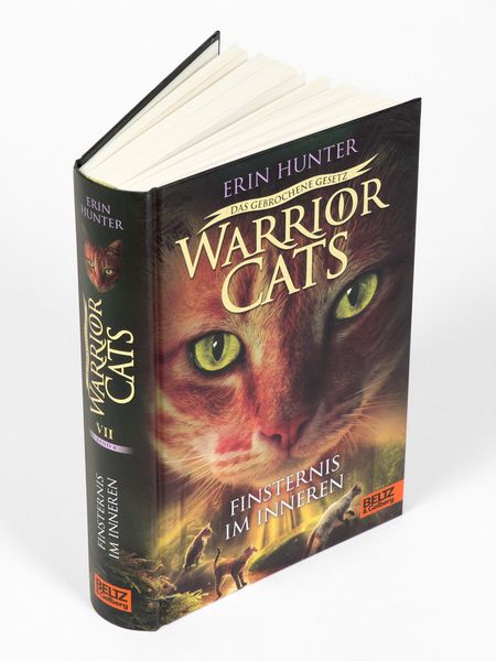 Produktbild: Warrior Cats - Das gebrochene Gesetz. Finsternis im Inneren