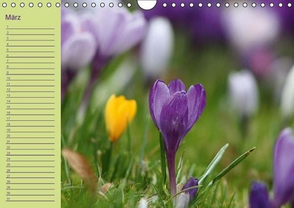 Produktbild: Geburtstagskalender (Wandkalender immerw&auml;hrend DIN A4 quer)