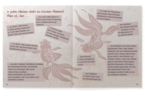 Produktbild: Kaiser Ping und der goldene Fisch