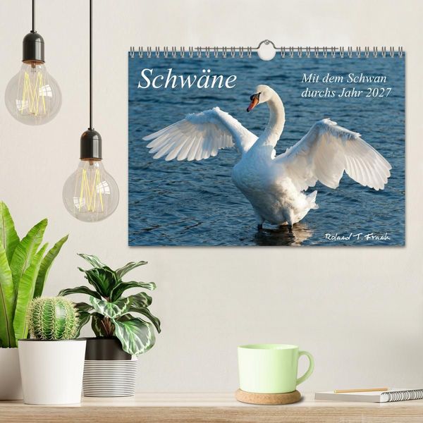 Produktbild: Mit dem Schwan durchs Jahr 2027 (Wandkalender 2027 DIN A4 quer), CALVENDO Monatskalender