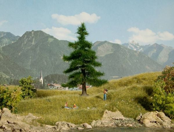 Produktbild: NOCH 0021810 Baum Nordmanntanne 120mm 1St.