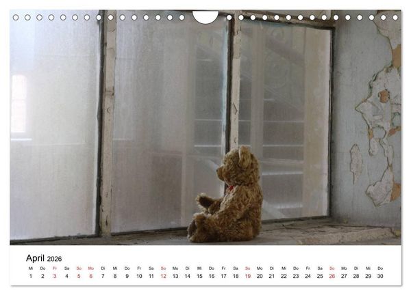 Produktbild: Teddys...jeder liebt sie (Wandkalender 2026 DIN A4 quer), CALVENDO Monatskalender