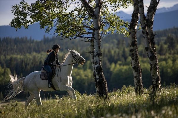 Produktbild: Heartland - Paradies f&uuml;r Pferde - Staffel 13 (Neuauflage) [4 DVDs]