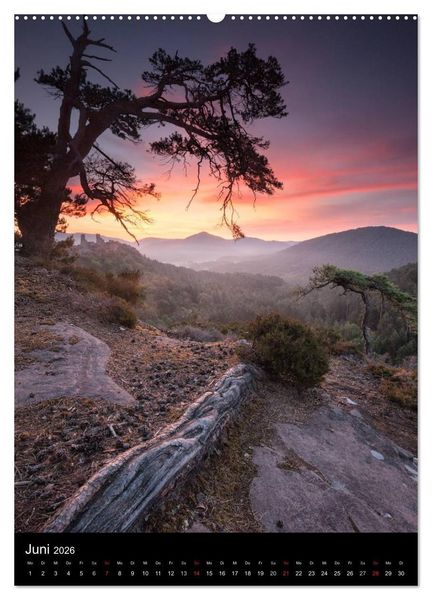 Produktbild: NATURWUNDER PF&Auml;LZERWALD (Wandkalender 2026 DIN A2 hoch), CALVENDO Monatskalender