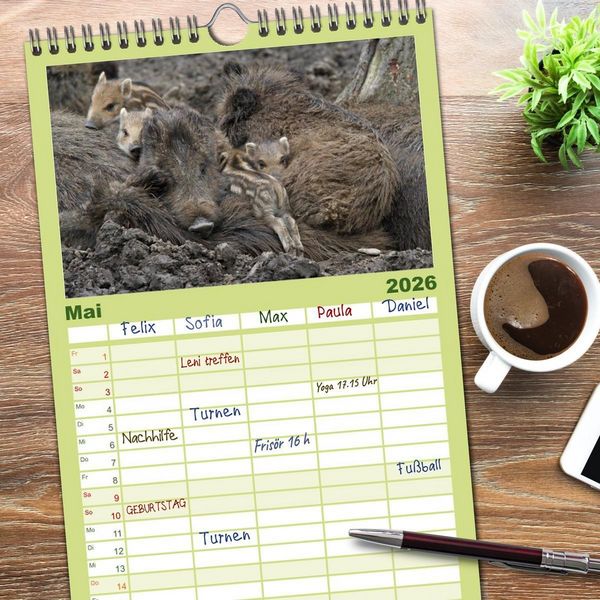 Produktbild: Familienplaner 2026 - Schweinkram - Die Wildschweine sind los mit 5 Spalten (Wandkalender, 21 x 45 cm) CALVENDO