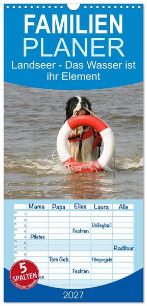 Produktbild: Familienplaner 2027 - Landseer - Das Wasser ist ihr Element mit 5 Spalten (Wandkalender, 21 x 45 cm) CALVENDO
