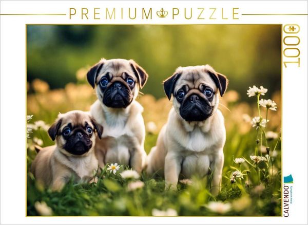 CALVENDO Puzzle Welpen auf einer Wiese | 1000 Teile Lege-Größe 64x48cm Foto-Puzzle für glückliche Stunden