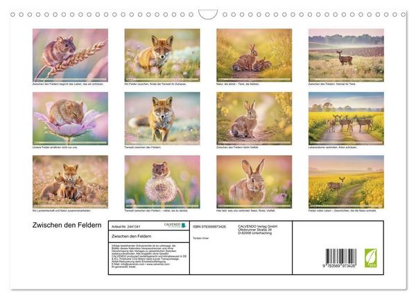 Produktbild: Zwischen den Feldern (Wandkalender 2027 DIN A3 quer), CALVENDO Monatskalender