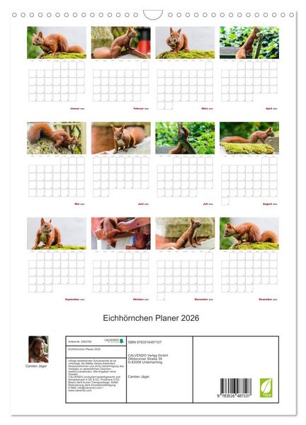 Produktbild: Eichh&ouml;rnchen Planer 2026 (Wandkalender 2026 DIN A3 hoch), CALVENDO Monatskalender