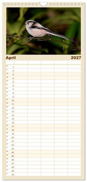 Produktbild: Familienplaner 2027 - V&ouml;gel ganz nah mit 5 Spalten (Wandkalender, 21 x 45 cm) CALVENDO