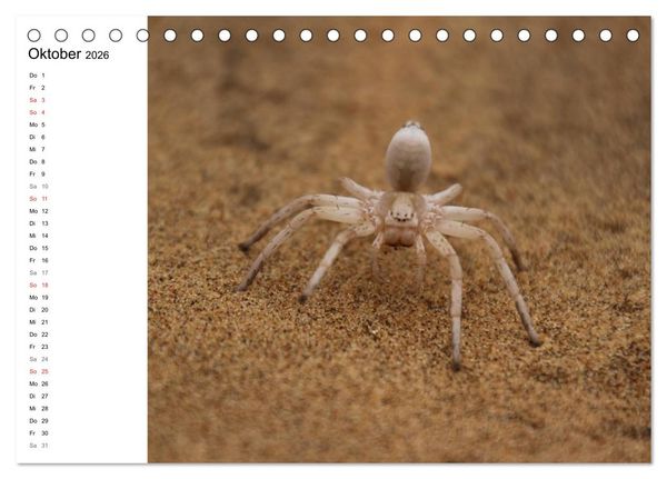 Produktbild: Namibia - Tierische Vielfalt (Planer) (Tischkalender 2026 DIN A5 quer), CALVENDO Monatskalender