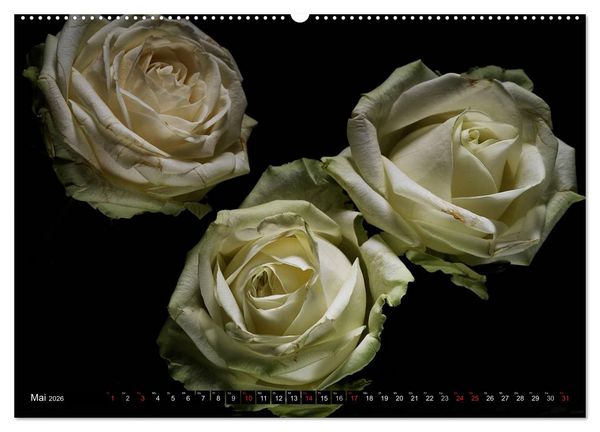 Produktbild: Flowers / 2026 (hochwertiger Premium Wandkalender 2026 DIN A2 quer), Kunstdruck in Hochglanz