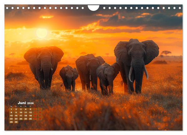 Produktbild: Liebenswerte Elefanten (Wandkalender 2026 DIN A4 quer), CALVENDO Monatskalender